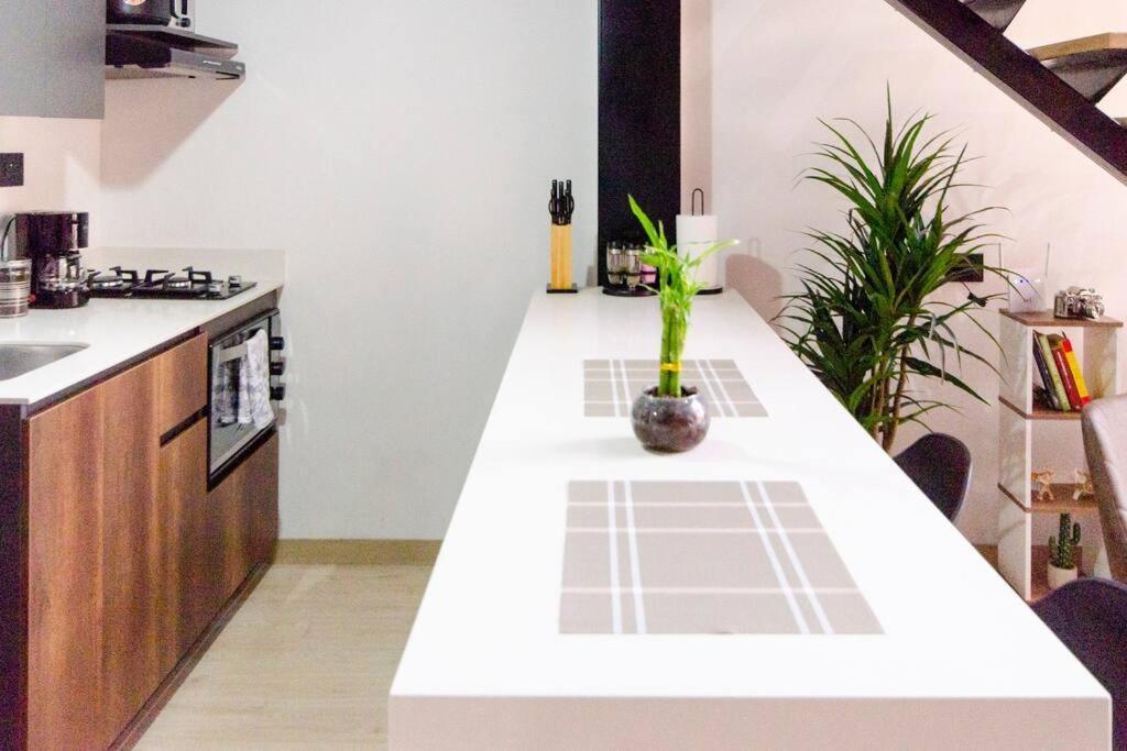 Tipo Loft Apartamento